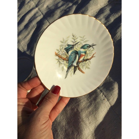 Vintage Queen’s Rosina birds of america 1 belted kingfisher cup saucer England - Picture 4 of 8